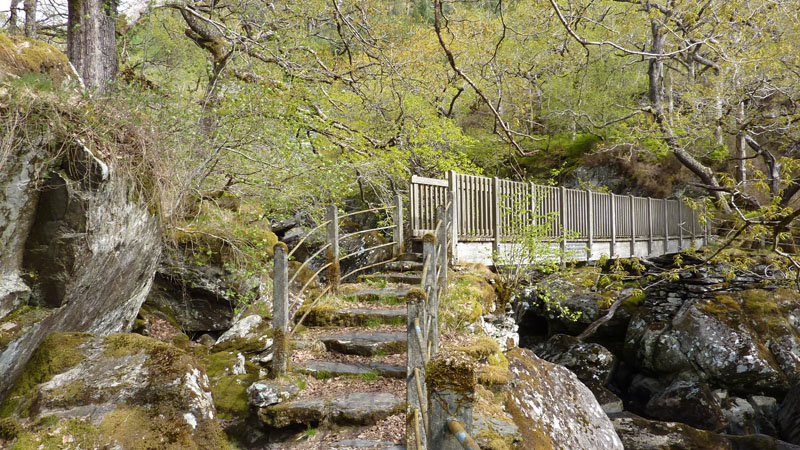 Bridge